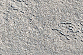 Ground-Ice Features in Tempe Terra
