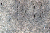 Lines of Pits in Utopia Planitia
