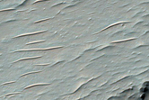 Lobate Feature in Crater
