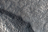 Gullied Crater in Tempe Terra
