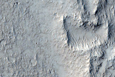 Ring-Shaped Landforms between Arcadia Planitia and Amazonis Planitia
