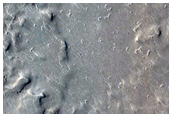 Monitoring Features for Changes in Cerberus Fossae
