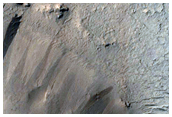 Mound in Elysium Planitia with Unusual Apron
