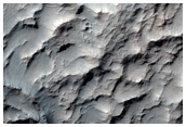 Raised Ridges in Terra Sirenum
