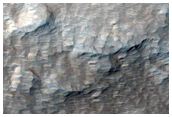 Cone-Like Structure in Tharsis Region
