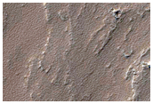 Low Shield Southeast of Pavonis Mons
