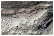 Circular Feature on Floor of Bernard Crater
