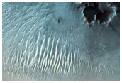 Dune Monitoring in South Mawrth Vallis
