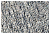 Terrain Sample
