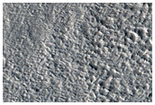 Terrain Sample
