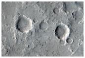 Terrain Sample