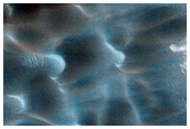 Dunes Dubbed Buzzel