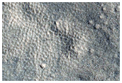 Terrain Sample

