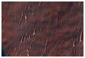 Dunes atop Crater Infill
