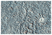 Northern Plains Sample
