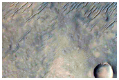 Crater in Isidis Planitia
