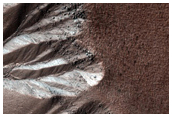 Gully Monitoring
