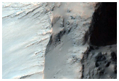 Rim Wall Terraces in Crater in Terra Sirenum