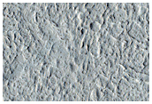 Infrared Bright Ridges