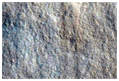 Thermal and Albedo Boundary
