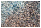Terrain Sample
