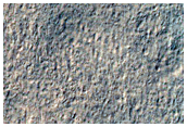 Mid-Latitude Terrain Sample
