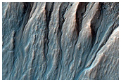 Gully Monitoring
