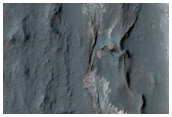 Possible Sulfate or Zeolite Outcrop in Terby Crater
