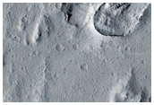 Pitted Cones in Amazonis Planitia
