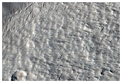Catena on Alba Mons

