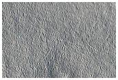 Arcadia Planitia
