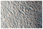 Valley in Northern Plains
