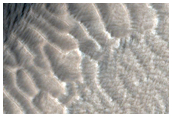 West Arsia Mons
