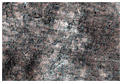 Spider Terrain Not on South Polar Layered Deposits
