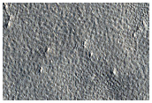 Valley in Northern Plains
