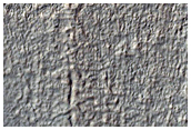 Gullies
