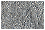 Arcadia Planitia
