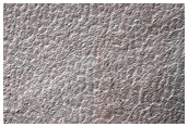 Terrain Sample
