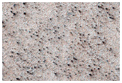 Immature Spider Terrain
