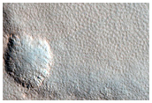 Northern Plains Sample
