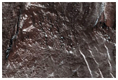 High-Latitude Gullies
