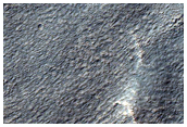 Gullies in Crater in Southern Mid-Latitudes
