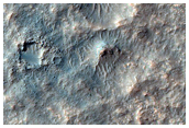 Terrain Sample
