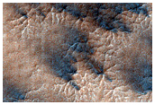 Spider Terrain Not on South Polar Layered Deposit
