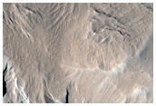 Olympus Mons Aureole
