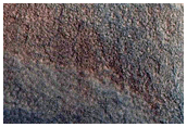Gullies in Northern Mid-Latitude Crater
