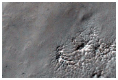 Evolution of Spider Terrain
