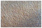 Floor of Lomonosov Crater
