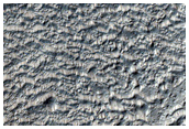 Mid-Latitude Terrain Sample
