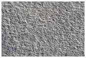 Northern Plains Terrain
